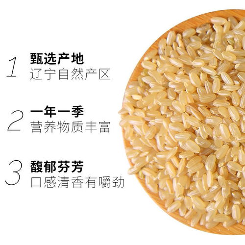 糙米新米5斤东北胚芽可发芽减五谷杂粮玄米粗粮饭健身饭慥米糟米